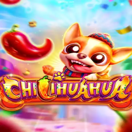 Discover the Thrilling World of CHILIHUAHUA